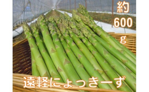 2026年 春アスパラ600g en01-00001 1123136 - 北海道遠軽町