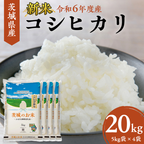 【 令和6年産 】 茨城県産 コシヒカリ 20kg ( 5kg × 4袋 ) 米 お米 白米 コメ こしひかり 茨城県 精米 新生活 応援 [DK004ci] 1123751 - 茨城県筑西市