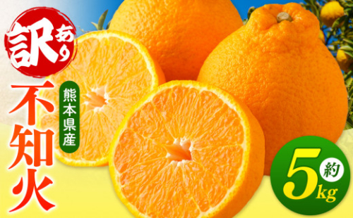 【 ご家庭用 訳あり 】 不知火 5kg （ デコポン と 同品種 ) | 果物 くだもの フルーツ 柑橘 柑橘類 みかん 訳あり でこみかん 熊本県産 生産量全国一位！