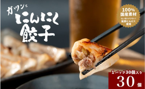 発芽にんにく餃子30個入り 餃子 にんにく にんにくたっぷり 国産にんにく 発芽にんにく 冷凍 臭わない 栄養価抜群 スタミナ 免疫アップ おつまみ おかず 総菜 餃子専門店 ぎょうざ 工場直売  1126389 - 岐阜県海津市