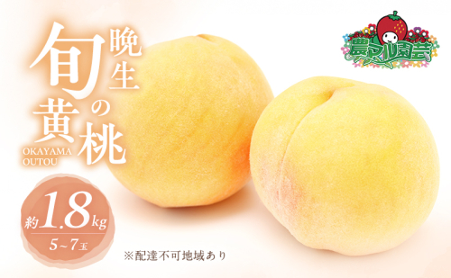 桃 2025年 先行予約 晩生の旬の 黄桃 約1.8kg 5～7玉 進物用 もも フルーツ 果物 岡山 赤磐市産 農マル園芸あかいわ農園 2025年 先行予約  1126578 - 岡山県赤磐市