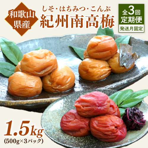 【発送月固定定期便】紀州南高梅1.5kgセット 1127362 - 和歌山県御坊市