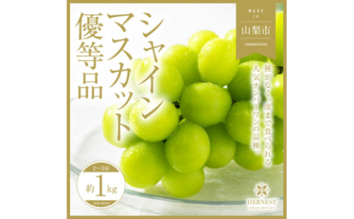 ＜訳あり＞山梨県山梨市産　旬の採れたてシャインマスカット　優等品約1kg2～3房【1459692】