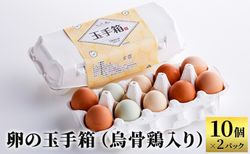 卵の玉手箱(烏骨鶏入り)10個×2パック 天然記念物 美味しい 濃厚 甘み 臭み ゆで卵 生卵 卵かけごはん 日本三大地鶏 名古屋コーチン 赤卵 有精卵 1131799 - 静岡県森町