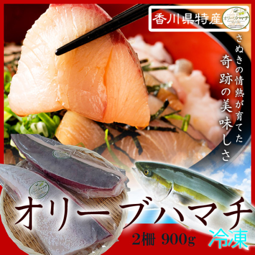 オリーブハマチ　冷凍　柵２本【予約受付：令和7年12月頃から発送】【A-105】 1132363 - 香川県多度津町