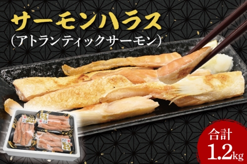 サーモン ハラス 1.2kg(200ｇ×6p) アトランティックサーモン 鮭 鮭はらす 大洗町 大洗 魚 さかな 魚介類 冷凍 工場直送 おかず おつまみ
 1134646 - 茨城県大洗町