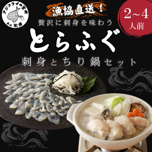 漁協直送！贅沢に刺身を味わう　とらふぐ刺身とちり鍋セット2～4人前( とらふぐ トラフグ ふぐ フグ 河豚 刺身 ふぐ刺し フグ刺し 鍋 ちり鍋 ふぐちり 直送 松浦市 )【D5-011】 1134732 - 長崎県松浦市