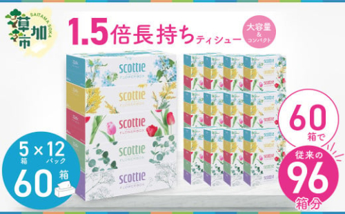 スコッティ ティシュー フラワーボックス 250組 60箱（5箱×12パック）【入金確認後、最短10日～3週間程度で発送】  |  大容量 長持ち コンパクト ティッシュペーパー 日用品 雑貨 大人気 日本製 日用品 ふるさと納税 ティッシュ ティッシュペーパー ふるさと納税 ティッシュ 箱 日用品 必需品 大容量 リピート 高品質 クオリティ かわいい 素敵 保管 消耗品 埼玉県 草加市 