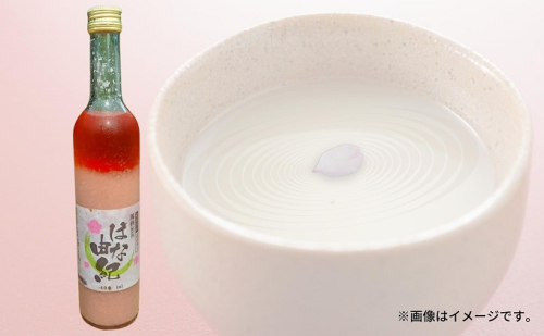 はな由紀 お酒 アルコール 晩酌 家飲み 宅飲み 絶品 どぶろく 赤色酵母使用 低アルコール 酸味 さわやか 食前酒  1135145 - 愛媛県東温市