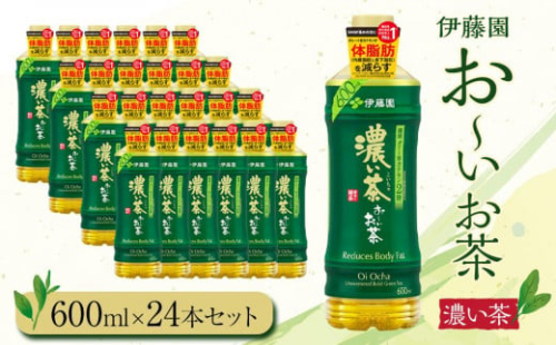 お～いお茶　濃茶600ml　24本セット　［おーいお茶 ペットボトル ケース 箱 伊藤園 静岡］ 1135201 - 静岡県御前崎市