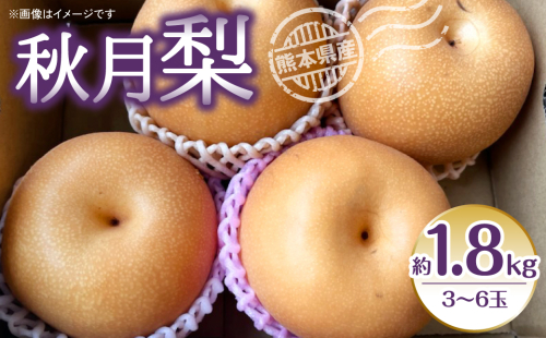 【先行予約】秋月梨 約1.8kg (3～6玉) 梨 なし 秋月【2025年8月下旬より順次発送】 1136524 - 熊本県八代市