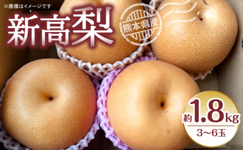 【先行予約】新高梨 約1.8kg（3～6玉） 梨 なし 新高 【2025年9月上旬より順次発送】 1136525 - 熊本県八代市