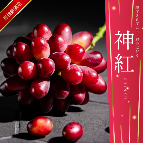 【先行予約】島根県限定！幻のぶどう“神紅(しんく)” 糖度20度以上！1房（450g以上） 1138921 - 島根県邑南町