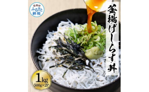 KGP079 高知県産釜揚げしらす500g×2パック 1kg 1キロ 簡易梱包 シラス 小分け 国産 釜揚げ しらす丼 海鮮丼 お茶漬け ごはん 軍艦巻き 手巻き寿司 ご飯 雑炊 冷奴 冷凍配送 おかず おつまみ 1138965 - 高知県芸西村
