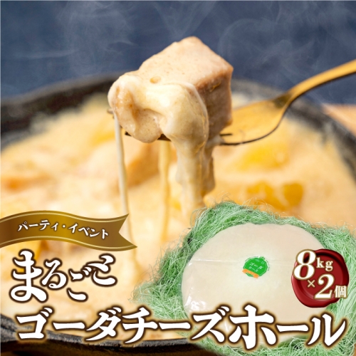 まるごと ゴーダチーズホール (8kg×2個) 1140060 - 島根県邑南町