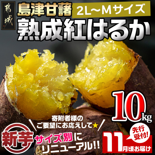 先行受付!【11月お届け】島津甘藷　熟成紅はるか 10kg(2L～M)_AA-A701-11 114152 - 宮崎県都城市