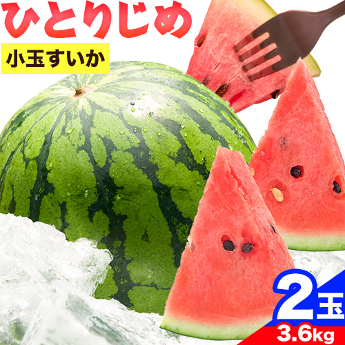 【先行予約】紀州和歌山産 小玉スイカ 「ひとりじめ」 2玉 魚鶴商店《2026年6月上旬-7月上旬頃出荷》 和歌山県 日高町 スイカ スイーツ フルーツ 果物 野菜 スイカ すいか 夏 旬 1142814 - 和歌山県日高町