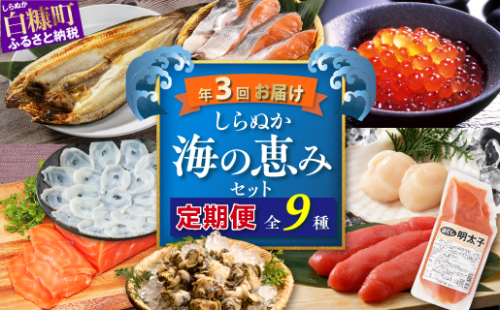 しらぬか海の恵みセット'24-'25【年3回定期便】 1144356 - 北海道白糠町