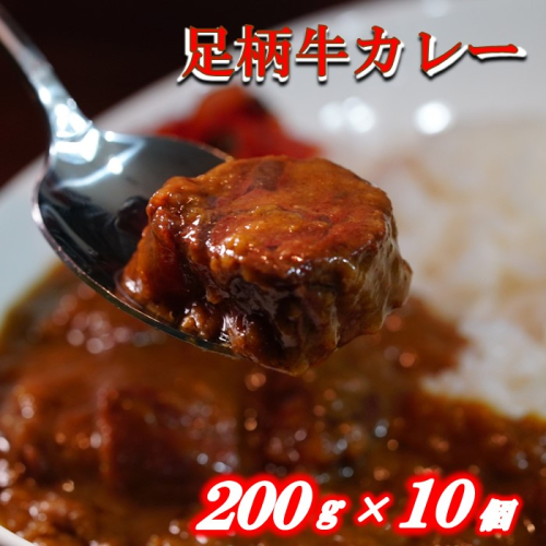 足柄牛を贅沢に使ったカレー200g×10個セット 114538 - 神奈川県松田町