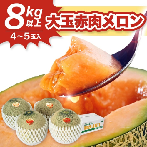 SB0646 大玉赤肉メロン 8kg以上(4~5玉入) つる無し 114553 - 山形県酒田市
