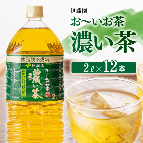伊藤園 おーいお茶 濃い茶 2L×6本×2ケース 【 飲料類 ソフトドリンク お茶 ペットボトル 】 宮崎県川南町 114565 - 宮崎県川南町