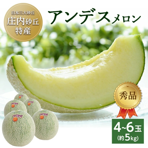 SA2581　庄内砂丘の旬夏　「秀品 アンデスメロン」　約5kg(青肉/4～6玉入) 114602 - 山形県酒田市