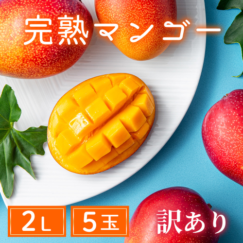 【訳あり】完熟マンゴー 2L×5玉（パック）【濃厚 高級 宮崎 果物 フルーツ 贈答 ギフト 甘い 先行受付 送料無料】 1146873 - 宮崎県綾町