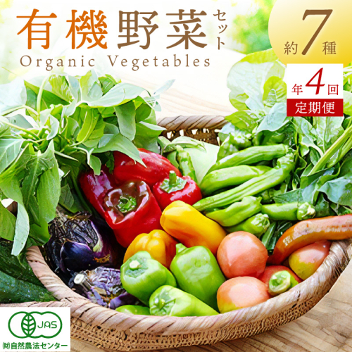 【年4回定期便】＜てんとうむしばたけ＞オーガニック野菜セット　有機野菜6～7種(2人用)
 1147730 - 京都府京丹後市