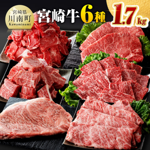 宮崎牛６種 詰め合わせ 1.7kg 【 肉 牛肉 宮崎牛 黒毛和牛 ロースステーキ ウデ 肩ロース チマキ ネック カルビ 焼肉 ミヤチク 】 1148553 - 宮崎県川南町
