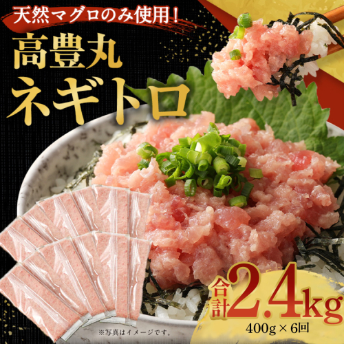 高豊丸ネギトロ４００ｇ【６回定期便】 天然 鮪 高知 室戸 まぐろ たたき マグロ タタキ ねぎとろ 冷凍 小分け 便利 定期便 114862 - 高知県室戸市