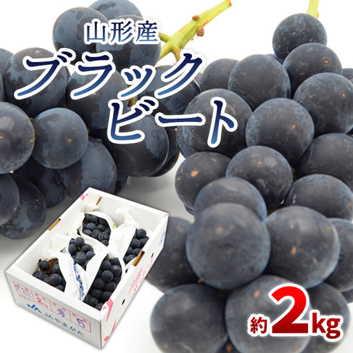 山形のぶどう ブラックビート 秀品 約2kg(3～6房) 【令和7年産先行予約】FS24-653 1148876 - 山形県山形市