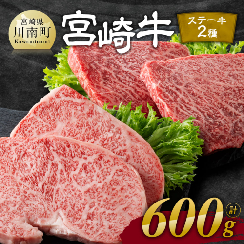 宮崎牛 ステーキ 2種 600g【肉 牛肉 国産 宮崎県産 宮崎牛 黒毛和牛 和牛 ステーキ BBQ 4等級  A4ランク ロース モモ E11118】 1149640 - 宮崎県川南町