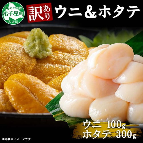 3255. 訳あり うに チリ産 冷凍 ほたて ウニ 100g 帆立 300g 雲丹 不揃い うに わけ あり 海鮮 丼 海鮮丼 刺身 うに丼 自宅用 送料無料 北海道 弟子屈町 1149962 - 北海道弟子屈町