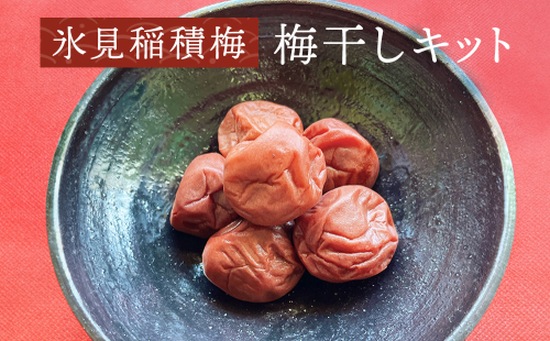 氷見稲積梅　梅干しキット 富山県 氷見市 梅干し キット 手作り 梅 1150379 - 富山県氷見市