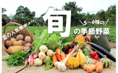 季節の野菜詰め合わせ(5~6種)!農薬不使用だから安心安全! 115172 - 島根県海士町