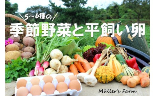季節の野菜詰め合わせ(5~6種)と平飼い卵セット!農薬不使用だから安心安全! 115174 - 島根県海士町