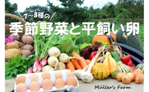 季節の野菜詰め合わせ(7~8種)と平飼い卵セット!農薬不使用だから安心安全! 115175 - 島根県海士町