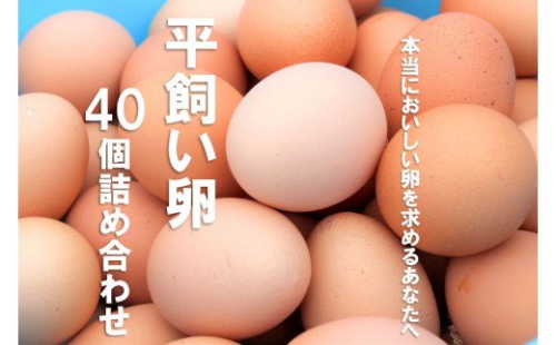平飼い卵詰め合わせ!40個セット 115177 - 島根県海士町