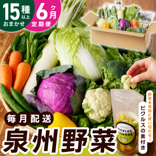 旬の新鮮 野菜セット（15種以上）定期便 全6回 おまかせ ピクルスの素付き ファミリー向け いずみピクルス NSW【毎月配送コース】 099Z280 1152636 - 大阪府泉佐野市