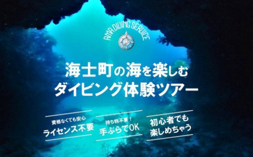 【離島で潜ろう!】海士町ダイビング体験(ボートダイビング) 115274 - 島根県海士町