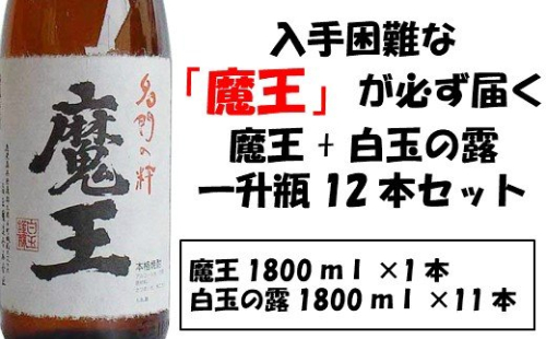 No.10001-1 【幻の魔王と伝統の白玉の露】白玉醸造の銘酒12本セット 115531 - 鹿児島県錦江町