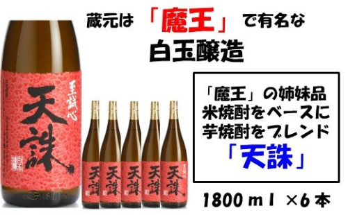 No.4021-1 【魔王の姉妹品】白玉醸造の「天誅」6本セット 115590 - 鹿児島県錦江町