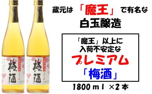 No.1129-1 【魔王の蔵元】白玉醸造の「プレミアム梅酒」2本セット 115595 - 鹿児島県錦江町
