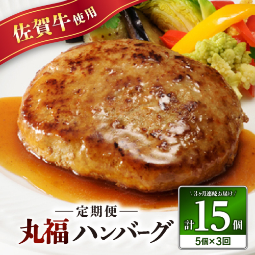 丸福・ハンバーグ5個定期便（3回） 1155965 - 佐賀県玄海町