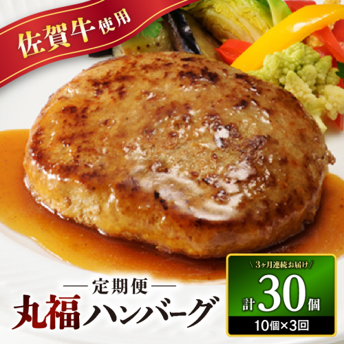 丸福・ハンバーグ10個定期便（3回） 1155968 - 佐賀県玄海町