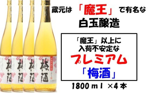 No.2044-1 【魔王の蔵元】白玉醸造の「プレミアム梅酒」4本セット 115597 - 鹿児島県錦江町