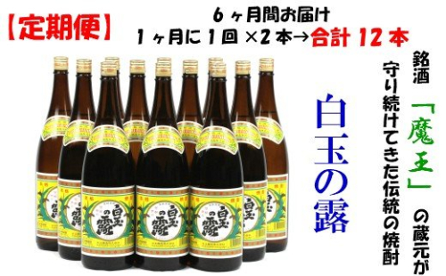 TK-001-1 【定期便：魔王の姉妹焼酎】＜白玉の露＞ 1升瓶×２本 6ヶ月定期配送 115600 - 鹿児島県錦江町