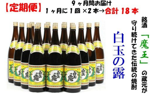 TK-002-1 【定期便：魔王の姉妹焼酎】＜白玉の露＞ 1升瓶×２本 9ヶ月定期配送 115601 - 鹿児島県錦江町