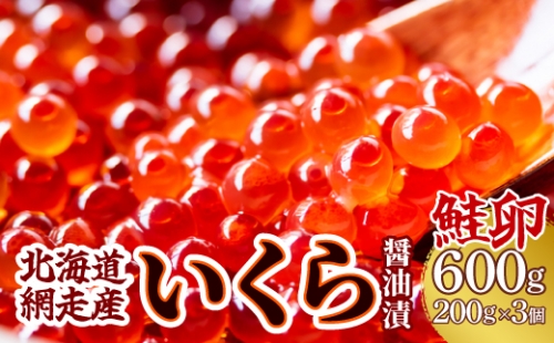 ＜網走産＞いくら醤油漬(鮭卵)600g（200g×3） ABW014 1156737 - 北海道網走市