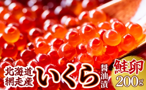 <網走産>いくら醤油漬(鮭卵)200g(200g×1)  ABW012 1157061 - 北海道網走市